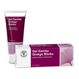 LFP GELGAMBE GINKGO 100ML