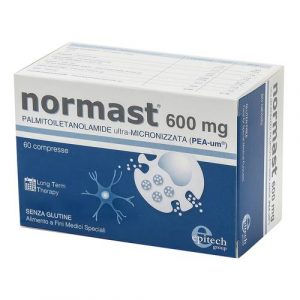 NORMAST 600MG 60CPR