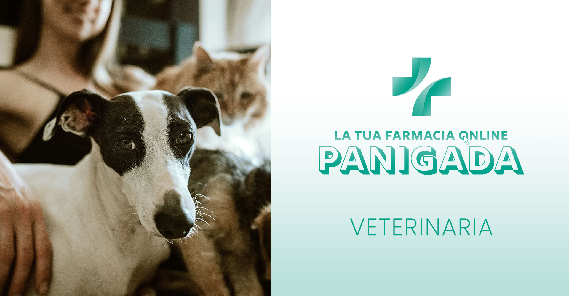 banner-slide-veterinaria